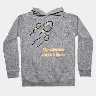 The theme painted in this painting is that reproductive justice is racial justice. Store: Atom139 Hoodie